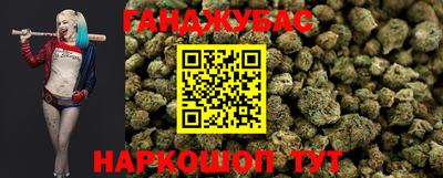 крисы Будённовск