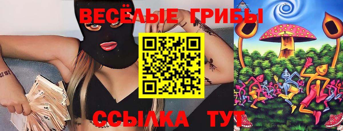 Галлюциногенные грибы мицелий Кохма
